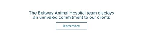 Beltway animal hospital - There are currently no open jobs at Beltway Animal Hospital listed on Glassdoor. Sign up to get notified as soon as new Beltway Animal Hospital jobs are posted.
